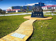 枣庄天华矿业集团